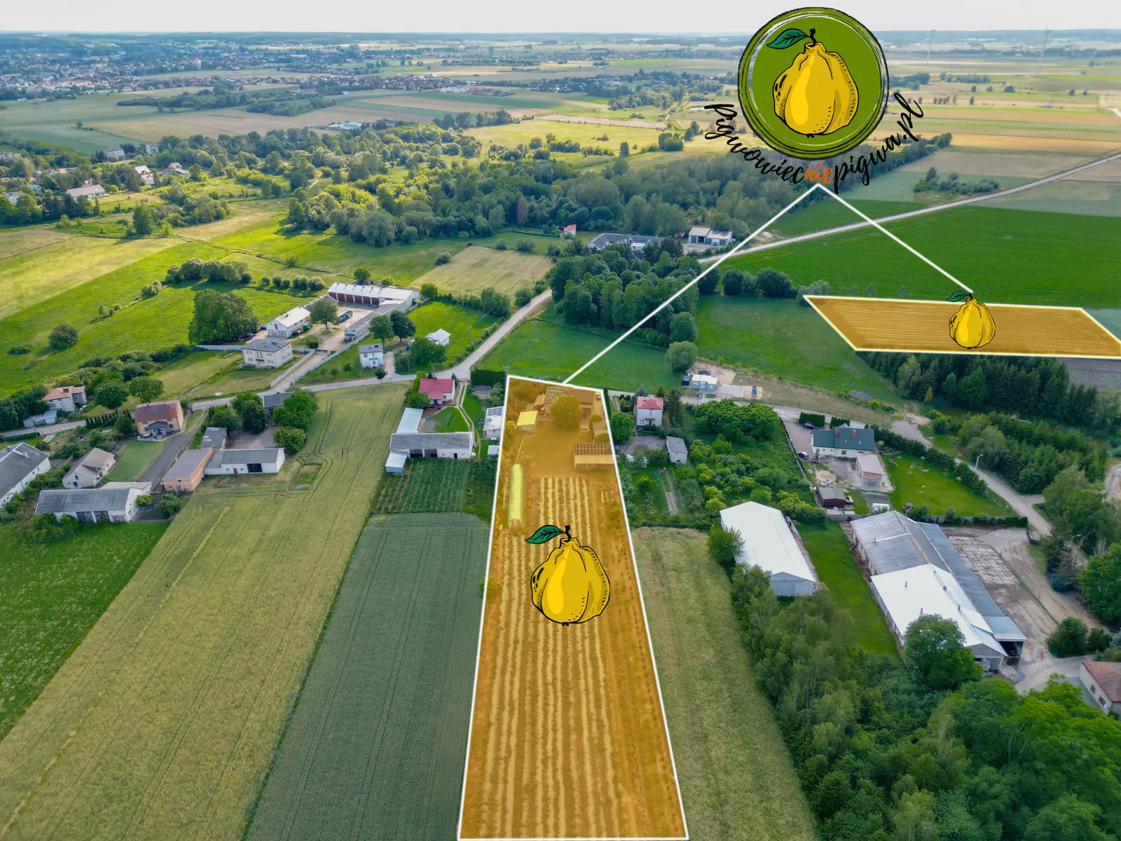 gospodarstwo-pigwowiec-nie-pigwa